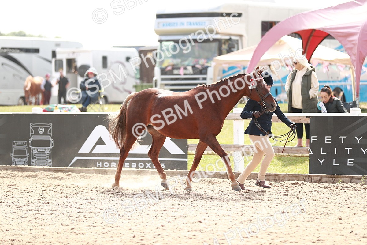 SBM_13854 - Class 209 IH Veteran Pony