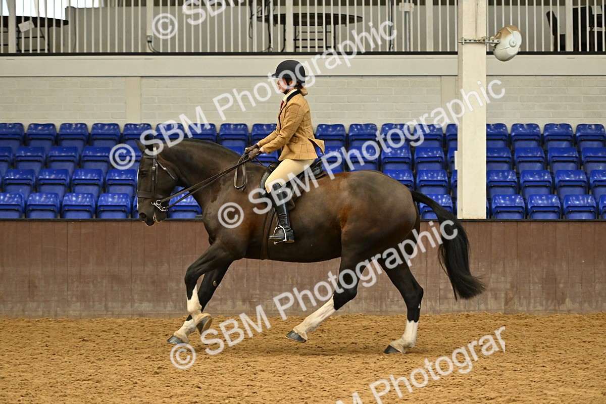 SBM_002034 - Class 21 - BSHA Ridden Show Cob