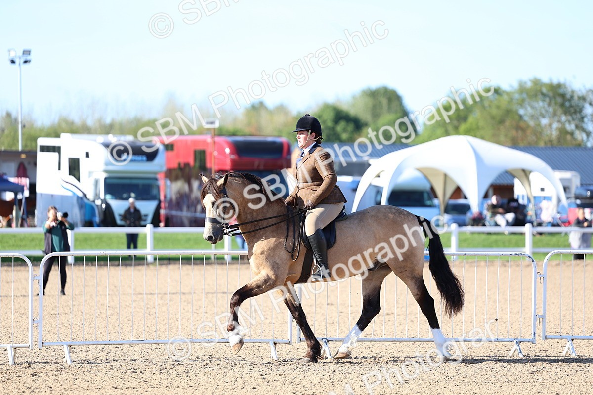 SBM_08788 - Class 302 - Ridden M&M - Large Breeds