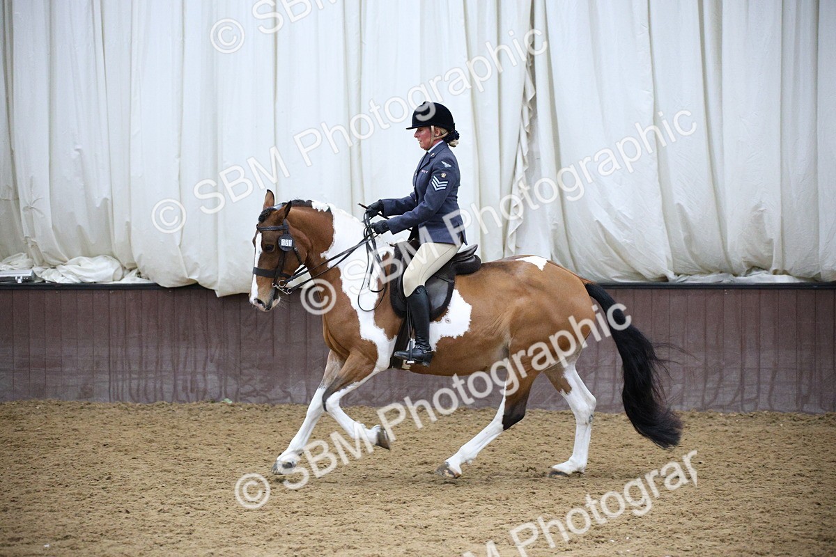 5K7A6084 - Class 48 - Ridden Mare