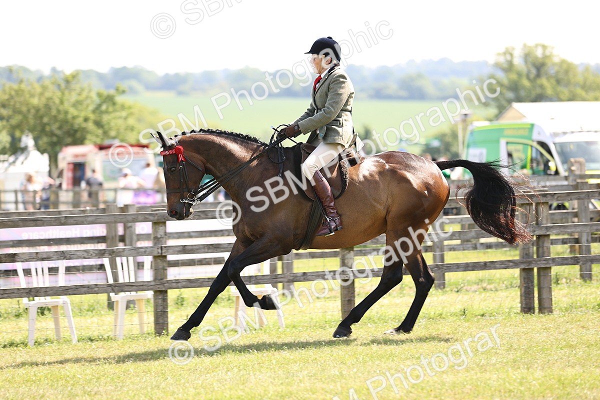 SBM_13005 - Class 75-76 LIHS BSHA Rising Star Hack Riding Horse