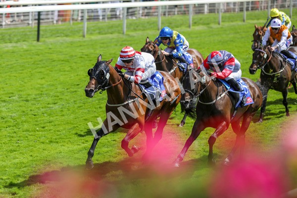 290723-Race 2-Aberama Gold-3825 - Race 2 2.40pm Sky Bet Dash Handicap