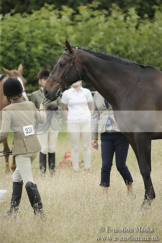 B230619-0778 - Bourne Valley Riding Club Summer Show 23/06/19