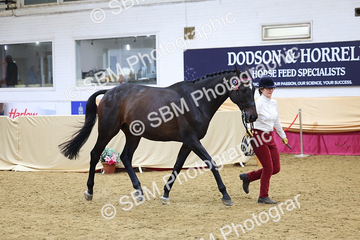 SBM_20876 - Class 902 - Supreme Final IH Veteran