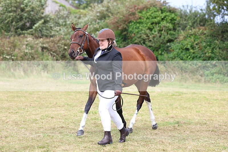 3E7A5555 - Class 20: Sports Horse In Hand