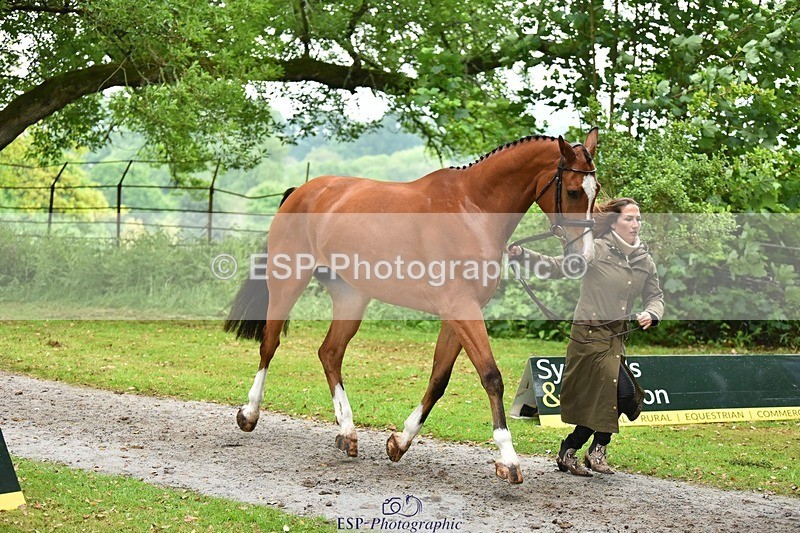 240522-171406-01469 - 255-BALANCERO-Laura_Collett