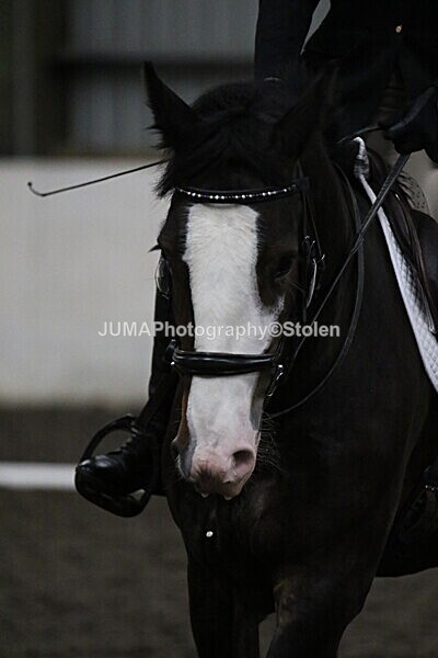 SIAL4351 - CAbin Dressage 5th july 2025