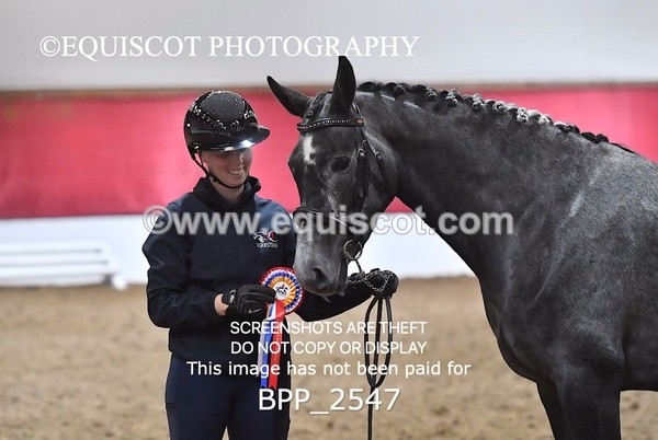 BPP_2547 - LOOSE JUMPING / SPSS