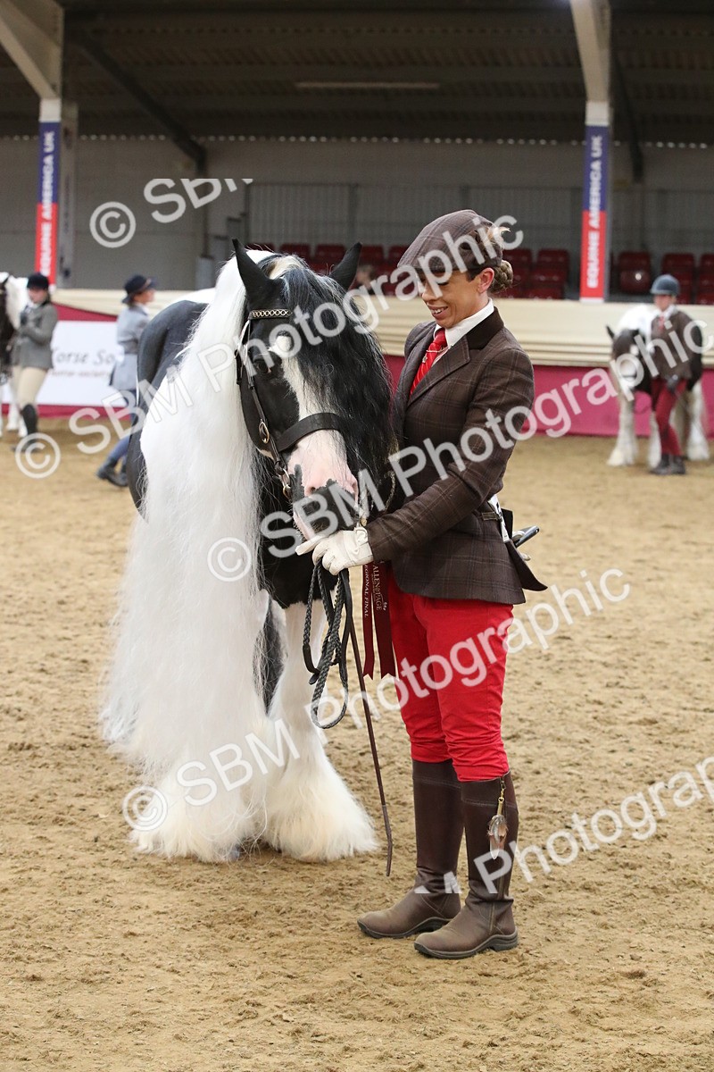 SBM_05796 - Class 9R - Regional IH Pre-Vet
