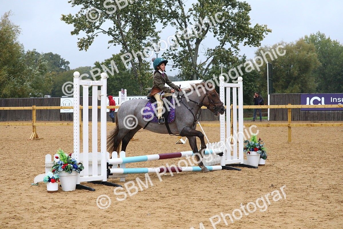 SBM_71485 - J4 - Mini Tour Junior Pony 45cm Championship