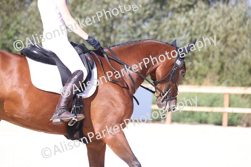 20260905-1521 - Class 5 - Novice 2