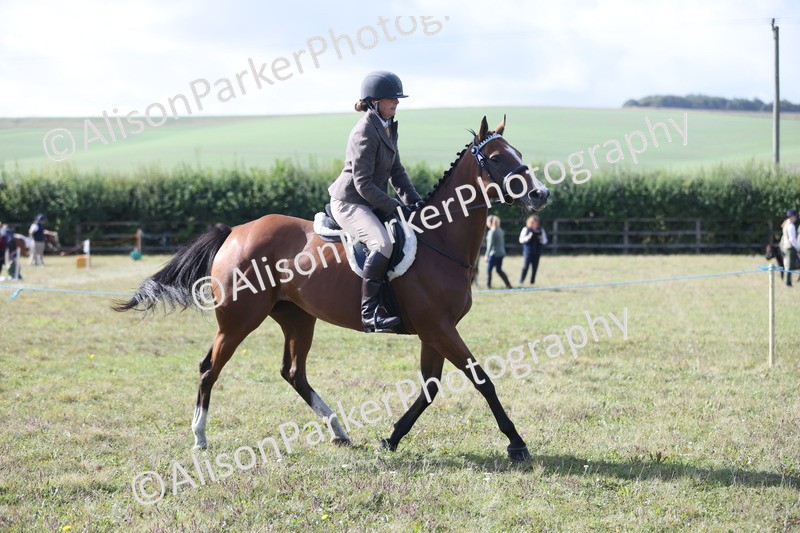 20250831-0915 - Class 14 - Ex Racehorse