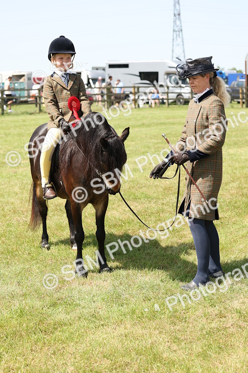 SBM_05273 - Class 24-25 - Mountain & Moorland In Hand Lead Rein and First Ridden