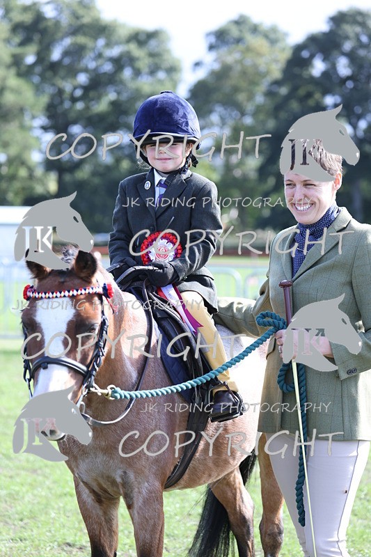 APP_3929 - Class 13 Lead rein