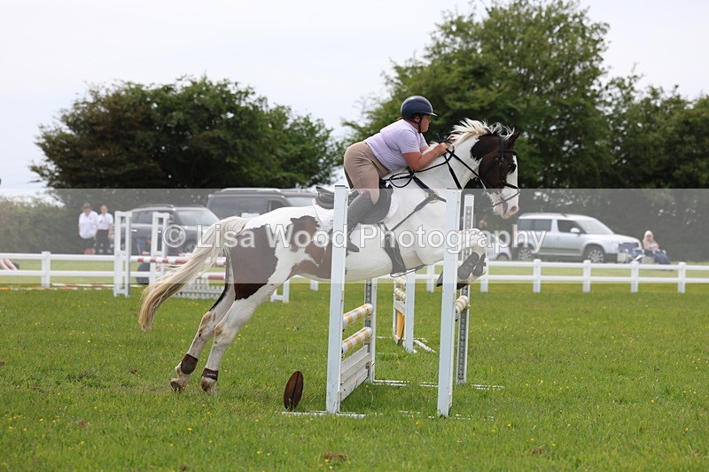 3E7A1685 - Class 13: Senior British Novice/90cm open