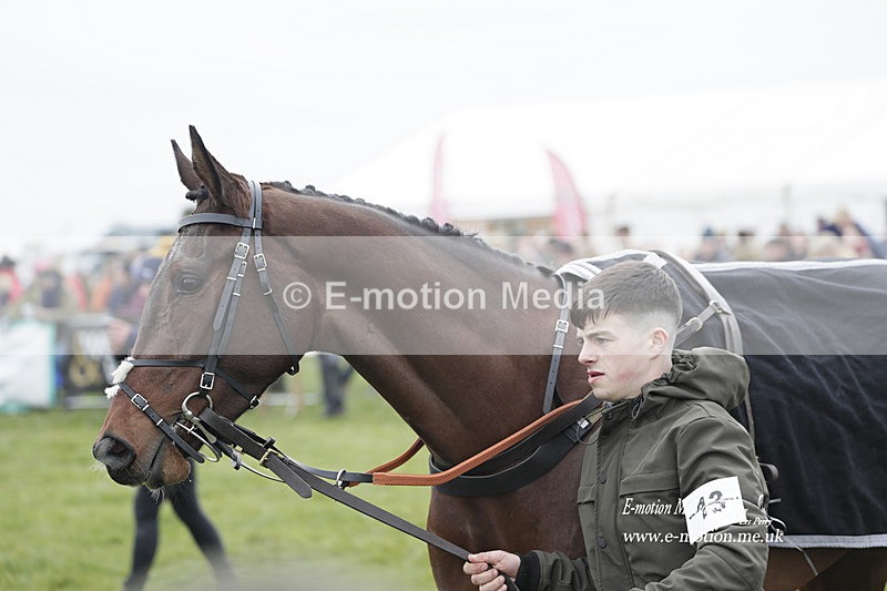 PtP 050323 235 - Blackmore & Sparkford Vale Hunt PtP - Somerset 05/03/23