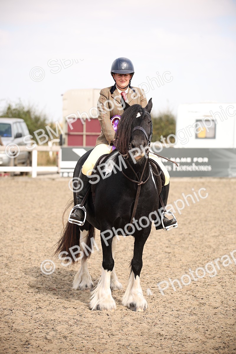 SBM_14243 - Class 407a - Working Veteran 60cm (15-19