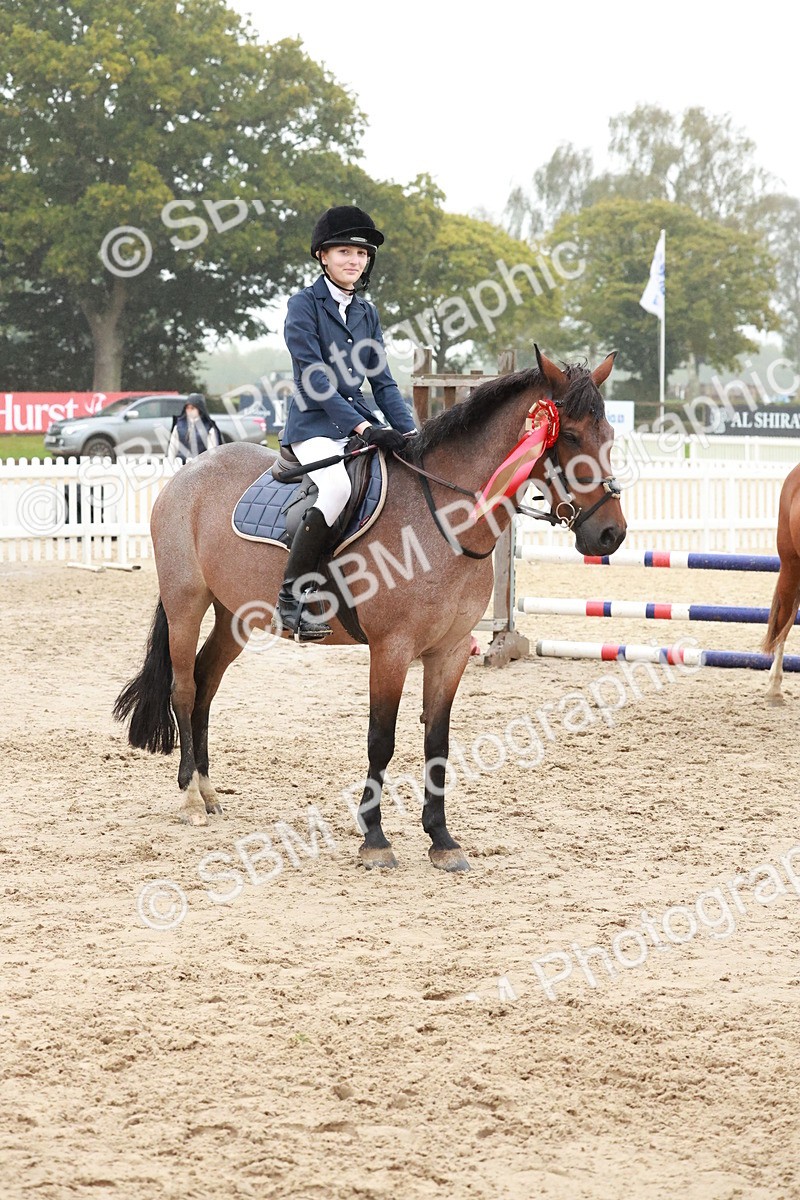 SBM_73555 - Supreme Championship Junior Pony 60cm & 65cm