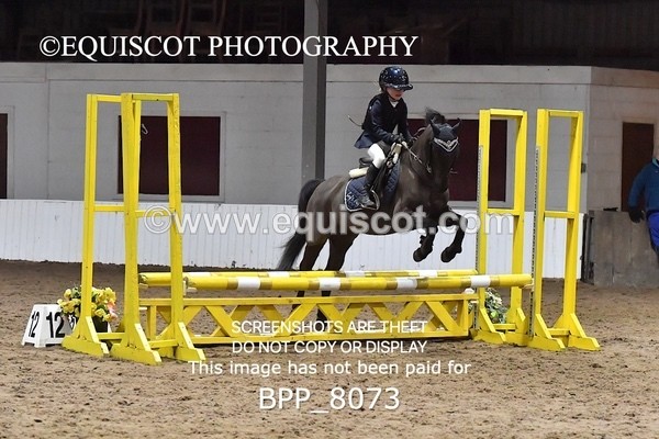 BPP_8073 - CLASS 1  Club/ Unaffiliated 60cms Open