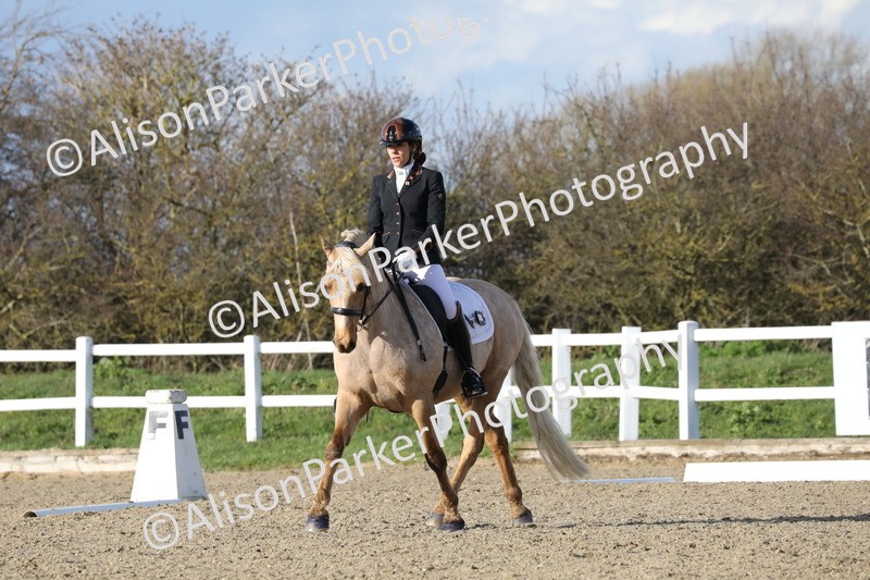 20260314-5804 - DR 7 - Elementary 1