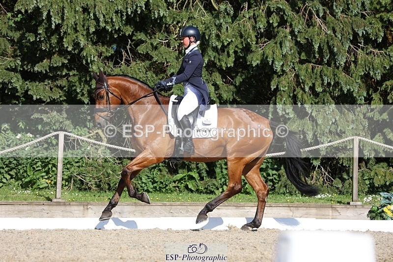 230526-172003-07954 - 177-ARGENTINO_BK-Dani_Evans-WEDTrotUp+DR