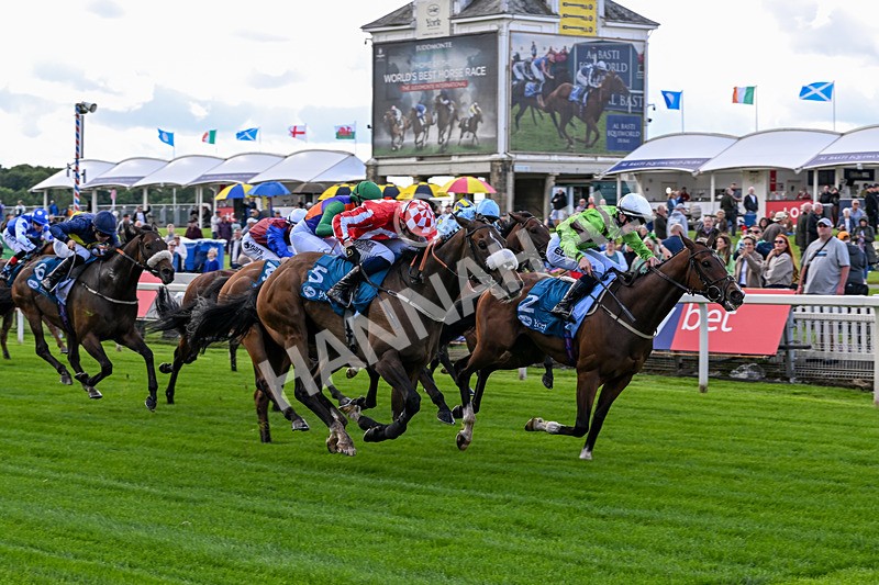 120626-Race 1-Our Havana-6620 - Race 1 13.50pm Andy Thornton Hospitality Furniture Apprentice Handicap