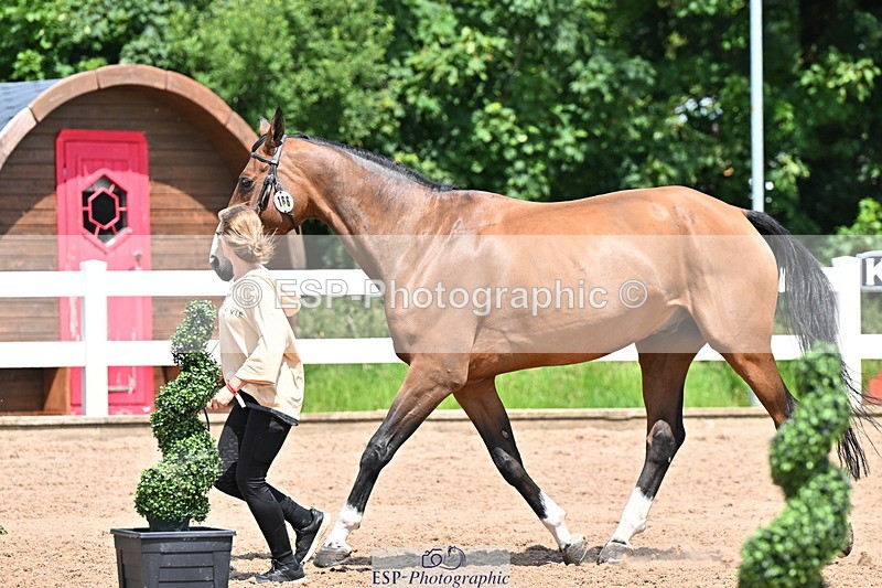240718A-105313-01716 - Trot Up 1pm to 2pm