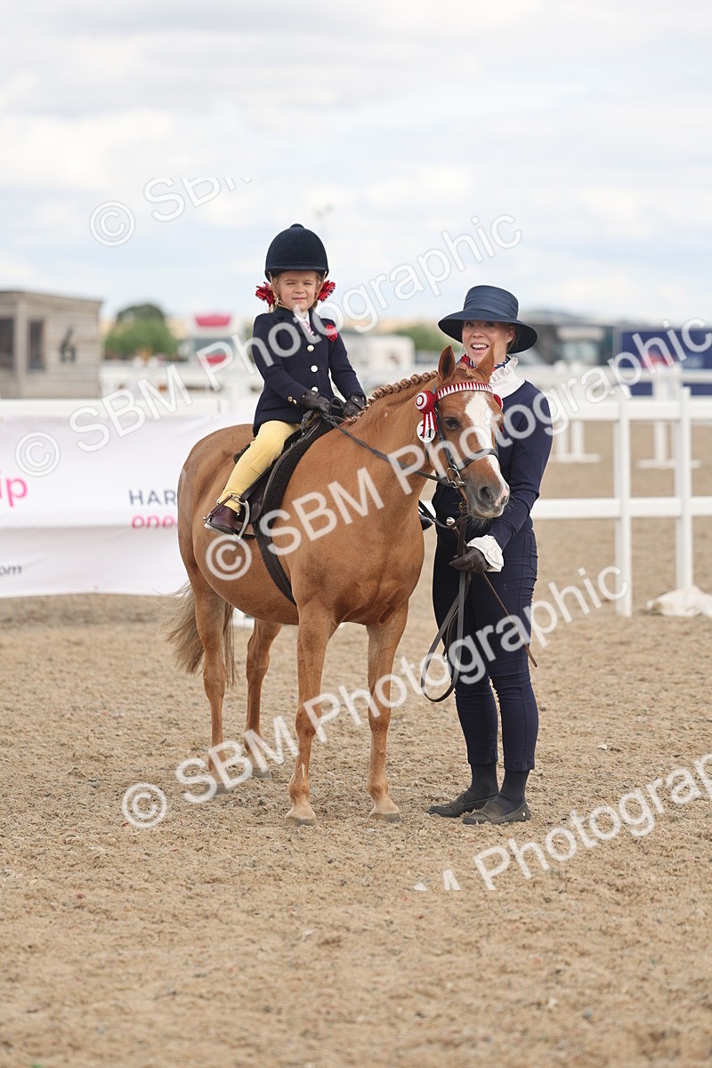 SBM_15816 - Class 309 - Lead Rein Pony