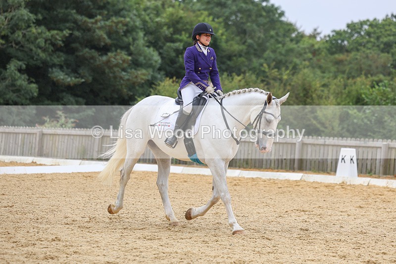 3E7A5326 - Class 2: Intro 4 2024 section B