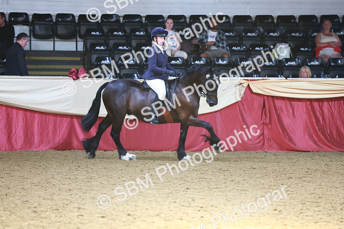 SBM_23980 - Class 905 - Supreme Final - Ridden Veteran