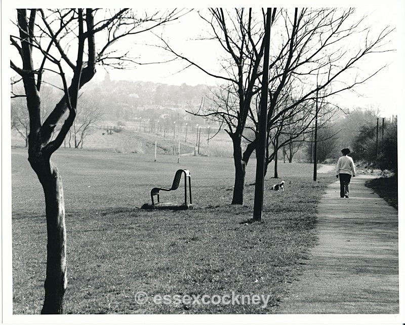 park