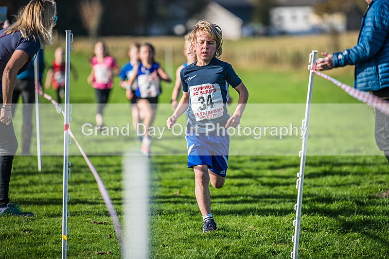 Cumbria XC-23 - Cumbria XC League Workington Saturday 26th October 2024