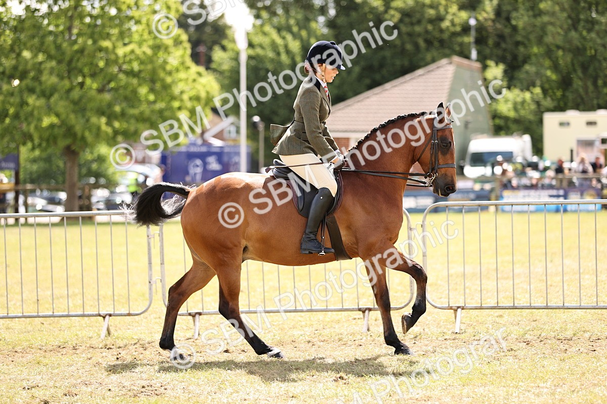SBM_14533 - Class 88-89 - LIHS BSHA Rising Star of Ridden Hunter Type