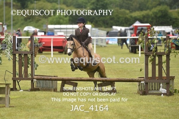 JAC_4164 - 30CM WORKING HUNTER