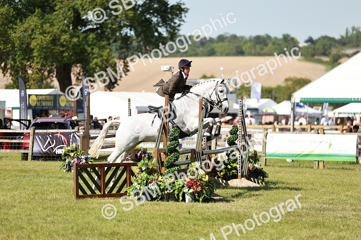 SBM_18845 - Class 114 - RIHS & SEIB Open Working Show Horse