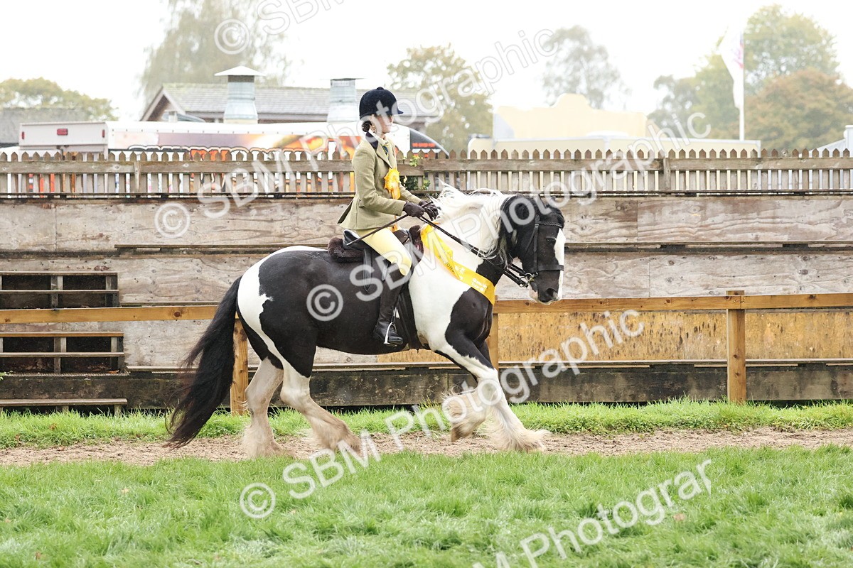 SBM_73131 - Ridden Pony Supreme Championship