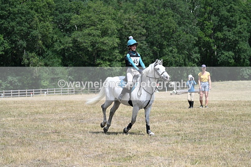 WJ7_0803 - 60cm Time 12:26 to 12:46