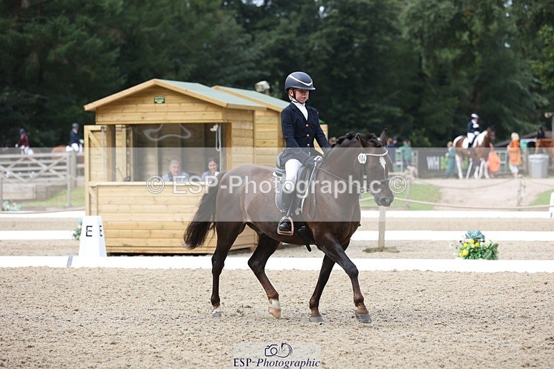 230812-103644-03279 - Cls 5 Novice Bronze Start to 10.55 break