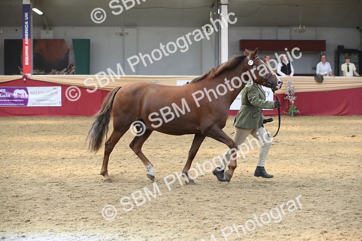 SBM_05625 - Class 9R - Regional IH Pre-Vet