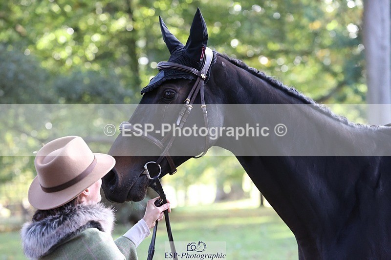 261025A-102045-25231 - 3DE Unknown riders - Trot Up