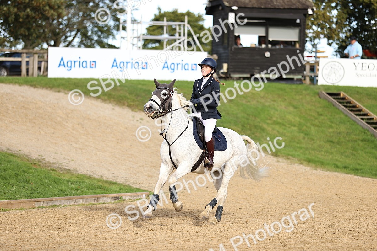 SBM_51629 - J10 - Junior Pony 75cm Championship