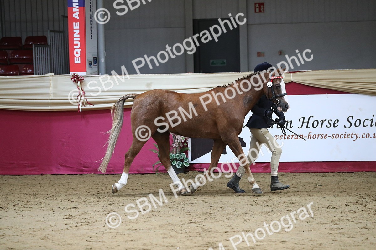 SBM_04953 - Class 8R- Regional -IH Veteran