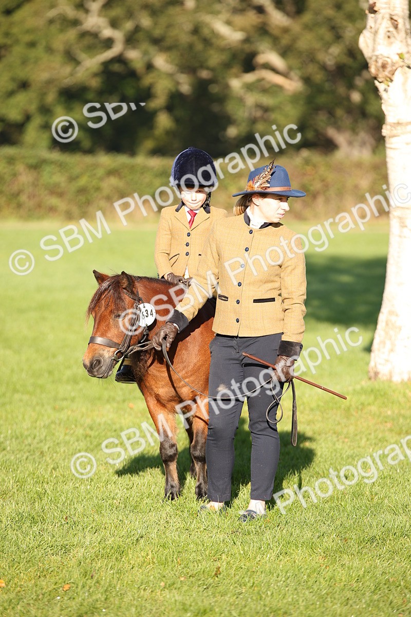 SBM_34248 - S9 - Lead Rein Equitation
