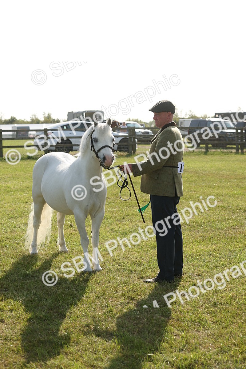 SBM_10395 - Class 33-38 - SSADL RIHS Qualifiers