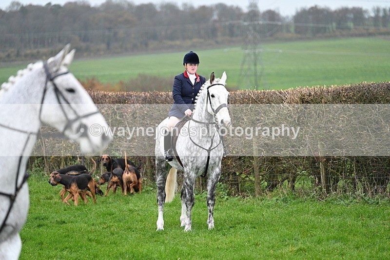 WJ7_8806 - Meet Staff & Hounds
