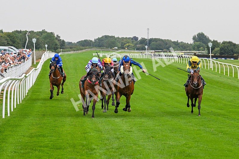 280824-Race 3-Too Much Too Young-4237