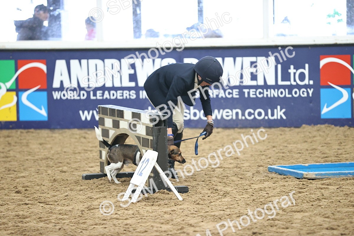 SBM_001180 - Class 3 - Horse & Hound 60cm