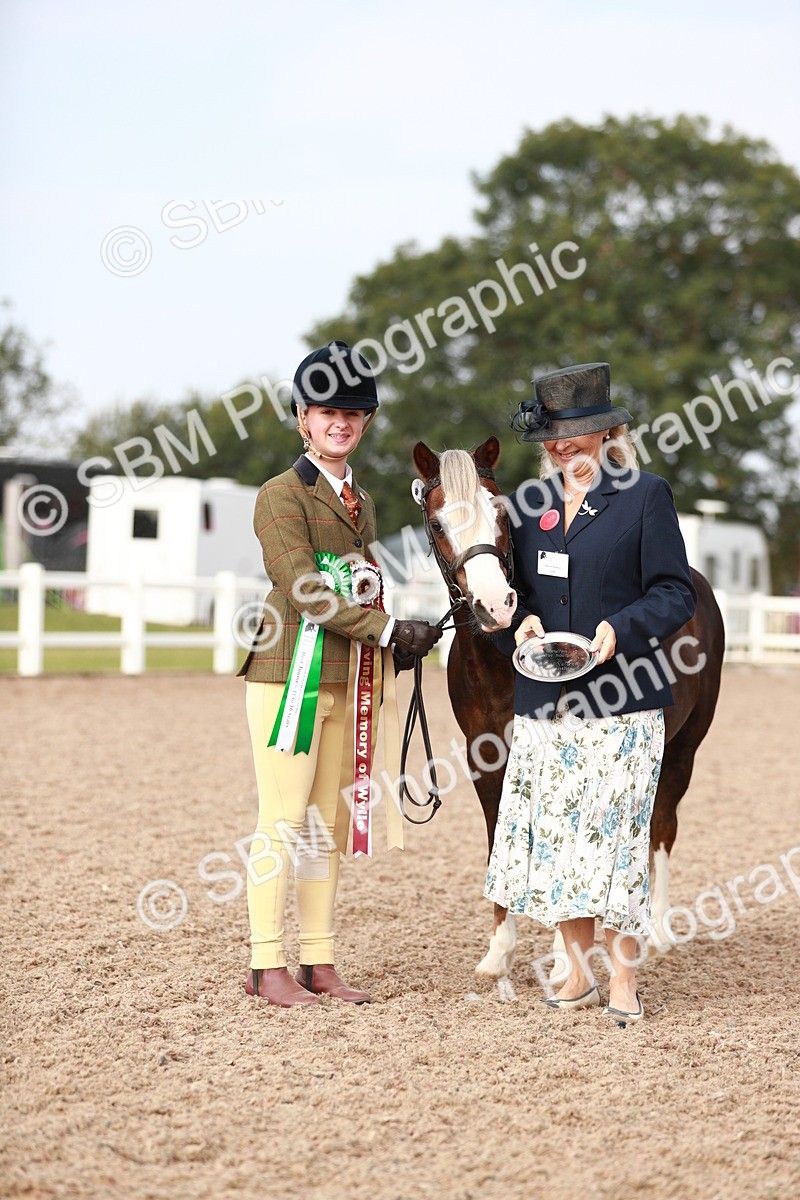 SBM_10612 - Class 204 Young Handler, 11-16 years