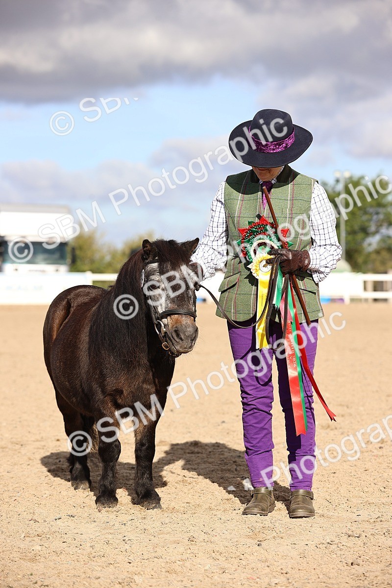 SBM_08547 - Class 402 - IH Veteran Pony
