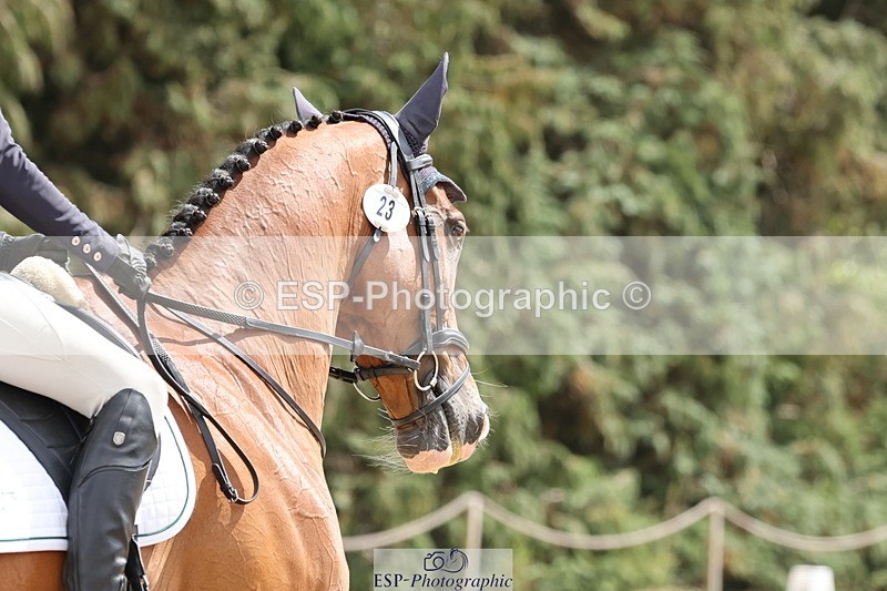 250809A-142822-04019 - 023-Abbie.BurbidgeFeeling.Fantastic